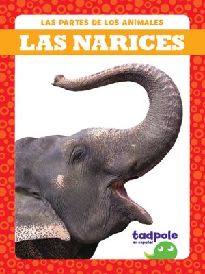 cover image of Las narices (Noses)